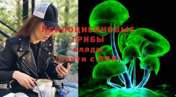 винт Болотное